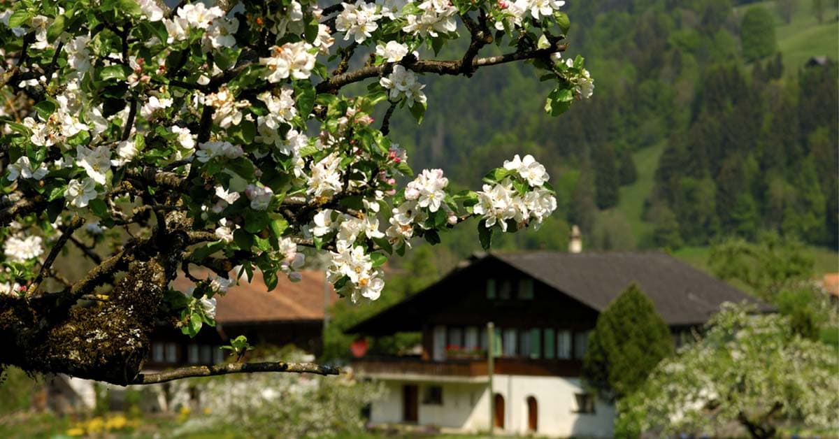 Haus verkaufen in Melle-Buer: Lagen, Preise & Tipps 2026
