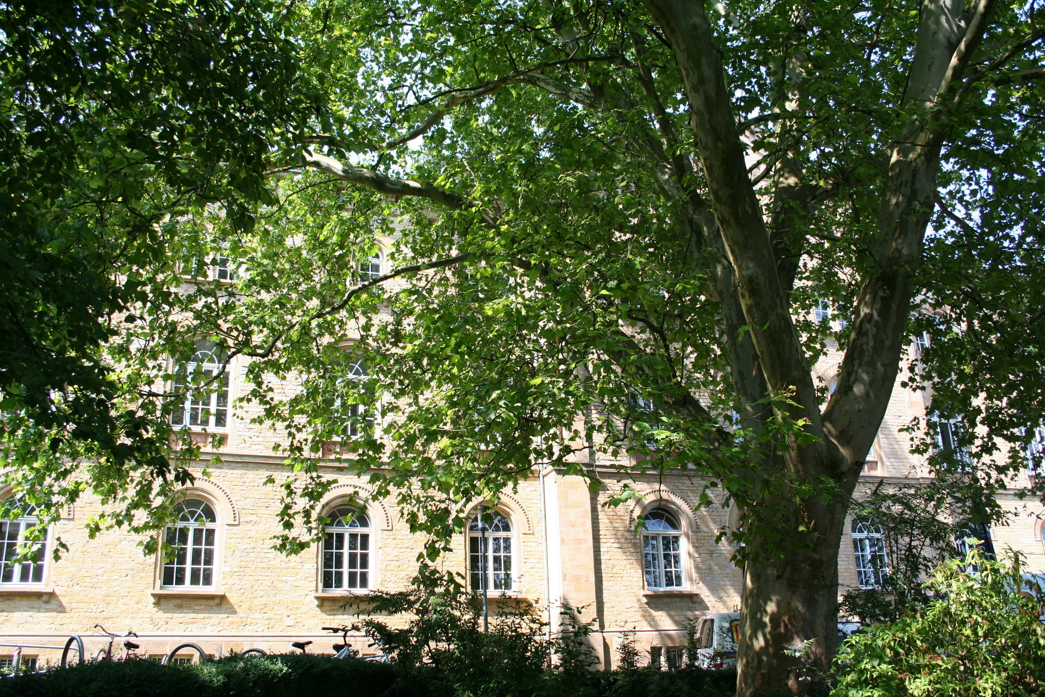Wohnhäuser in Melle und Umgebung